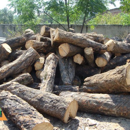 Logs